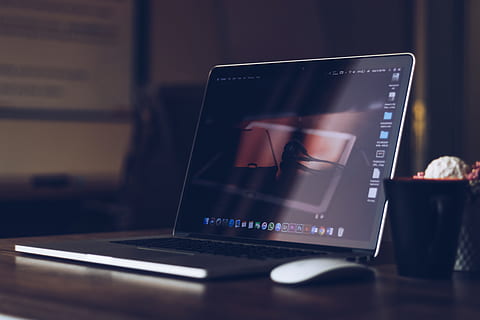 Silver and Black Laptop Computer, apple mouse, artificial flowers HD wallpaper