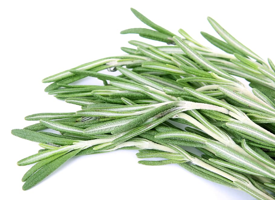 Rosemary, close up, green, herb, herbs, spice, white background HD wallpaper