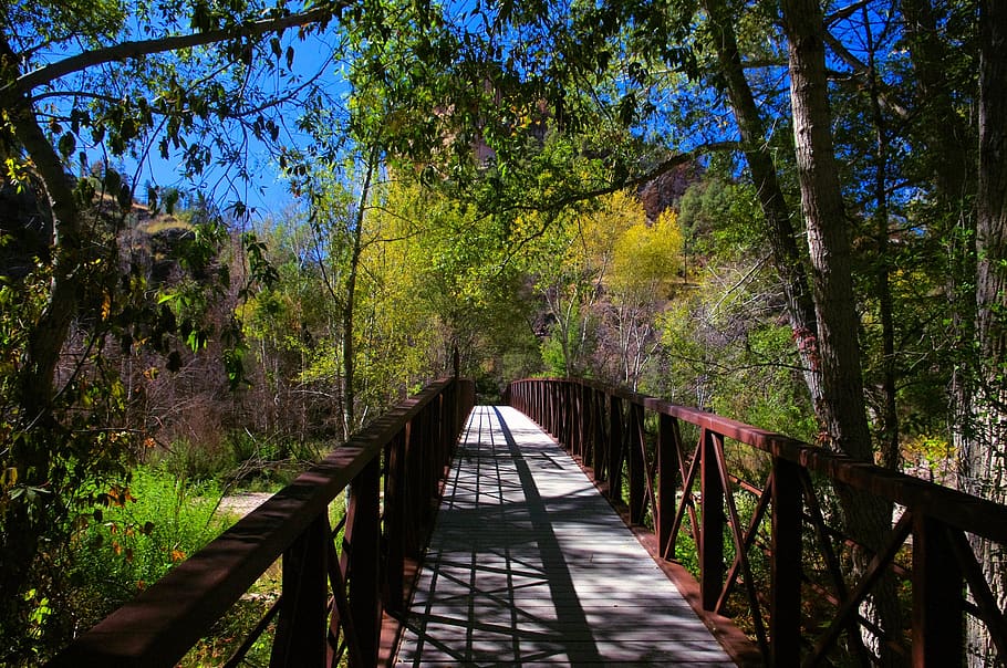 gila trail foot bridge, footbridge, nature, landscape, architecture, HD wallpaper