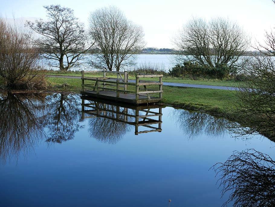 pond, reflection, water, trees, smooth, plant, lake, tranquility HD wallpaper