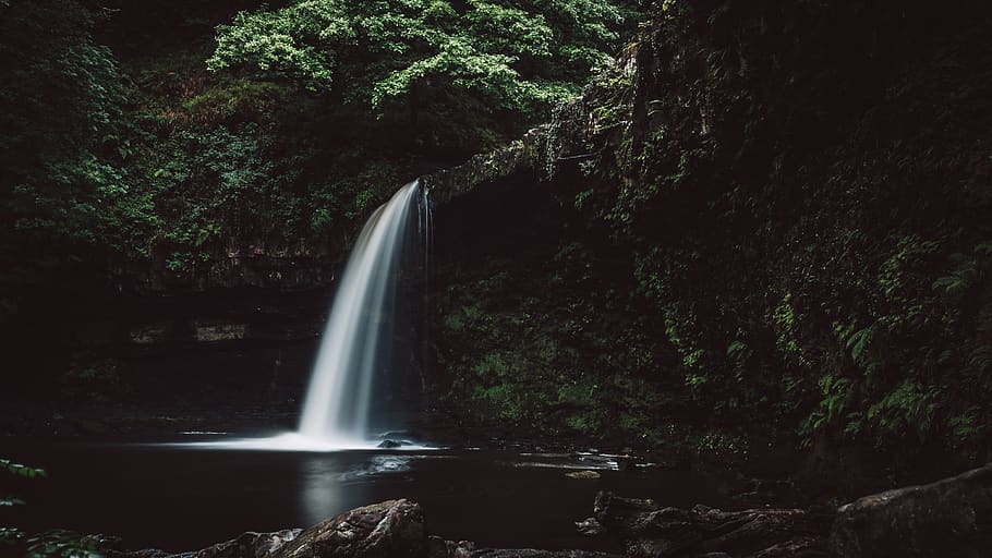 waterfalls inside cave, nature, forest, flora, tree, rainforest HD wallpaper