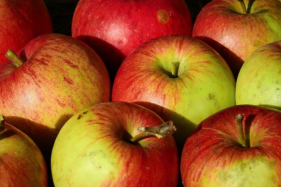 apples, vitamins, fruit, mature, healthy, autumn, food, healthy eating HD wallpaper