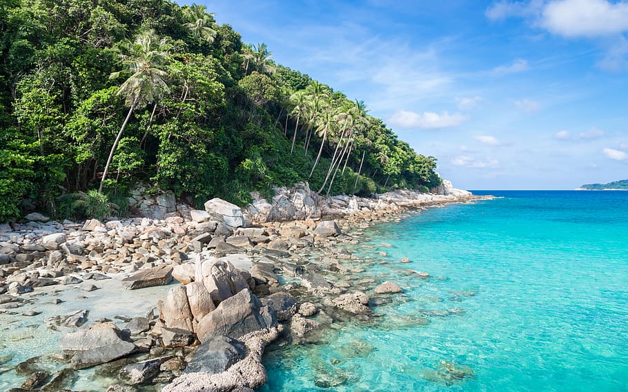 malaysia, perhentian islands, palmtree, rocks, stones, ocean, HD wallpaper