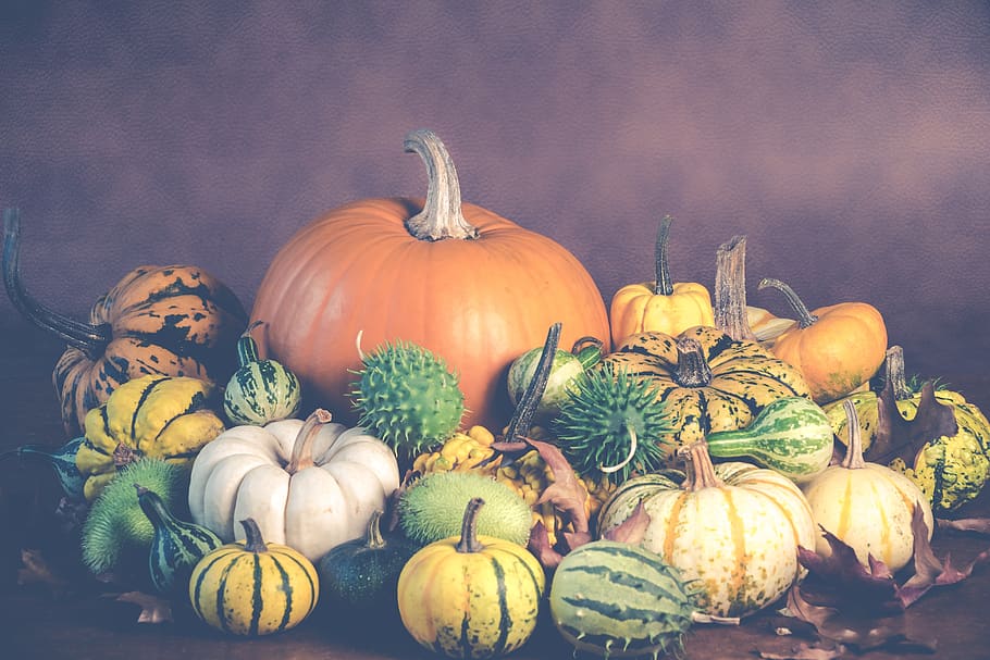 halloween, pumpkins, autumn, october, holiday, orange, decoration, HD wallpaper