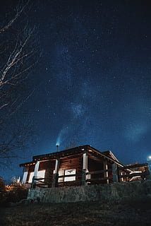 illuminated house beside tree, shack, building, hut, shelter HD wallpaper