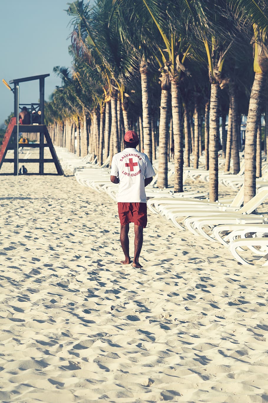 man walking on brown sand, real people, tree, land, full length HD wallpaper