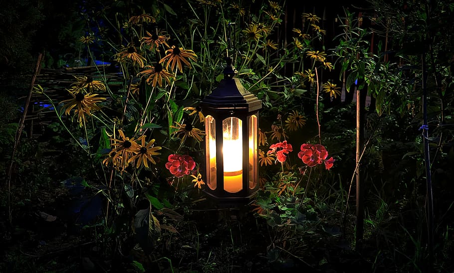 HD%20wallpaper:%20replacement%20lamp,%20flowers,%20evening,%20garden,%20the%20backlight,%20%20candle%20|%20Wallpaper%20Flare