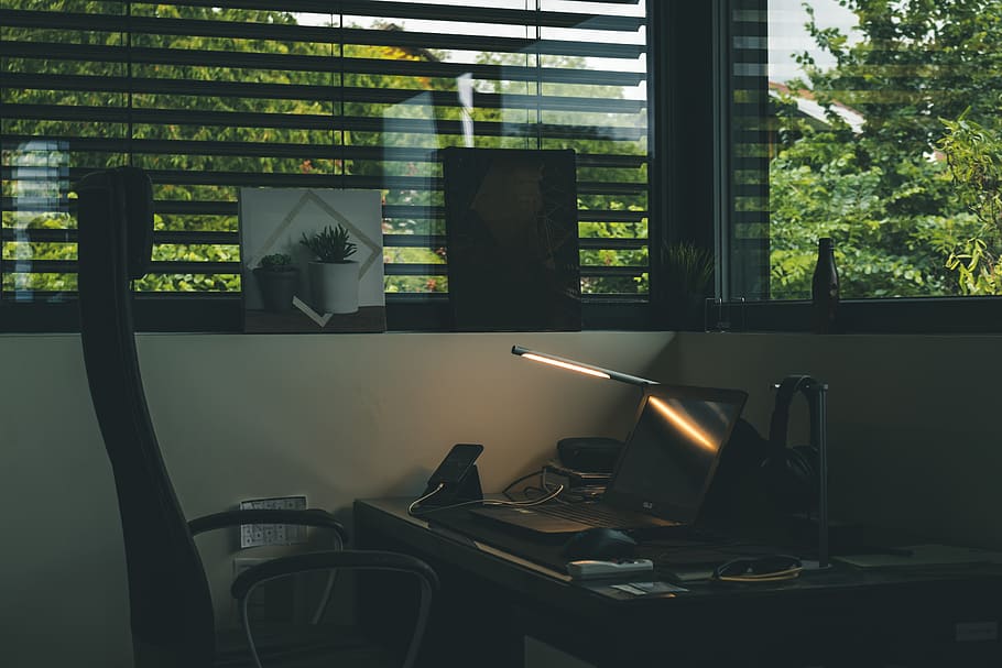 black rolling armchair near brown wooden desk, plant, potted plant