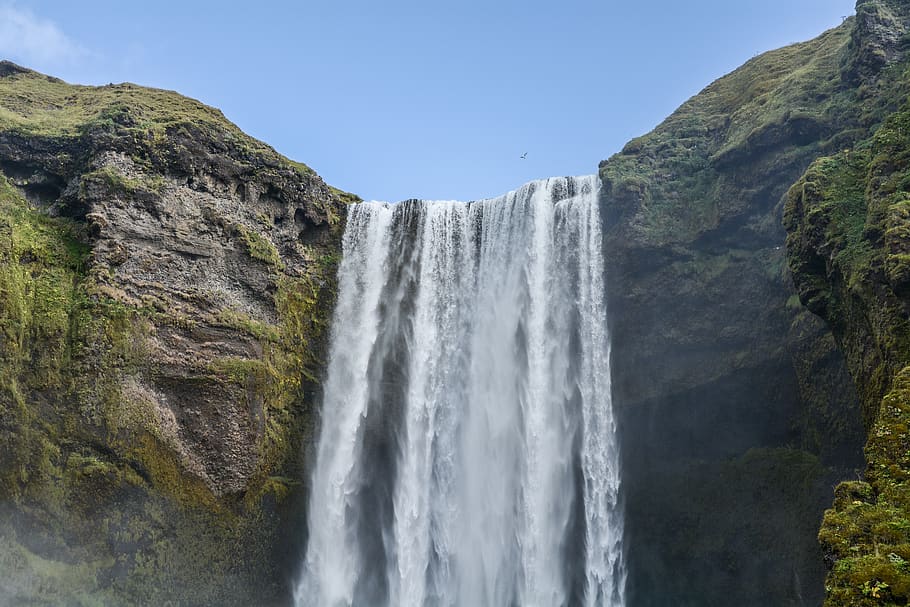 iceland, bird, cliff, cliffs, water, white water, beauty, nature HD wallpaper
