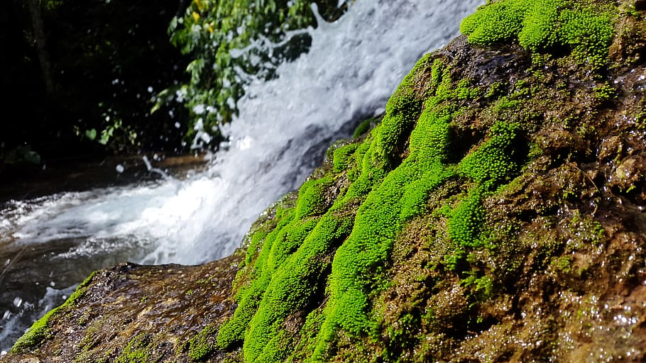 Photo of Waterfalls, cascade, close-up, daylight, environment HD wallpaper