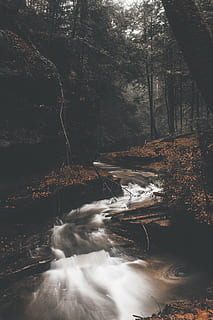 running water between trees, nature, outdoors, stream, river HD wallpaper