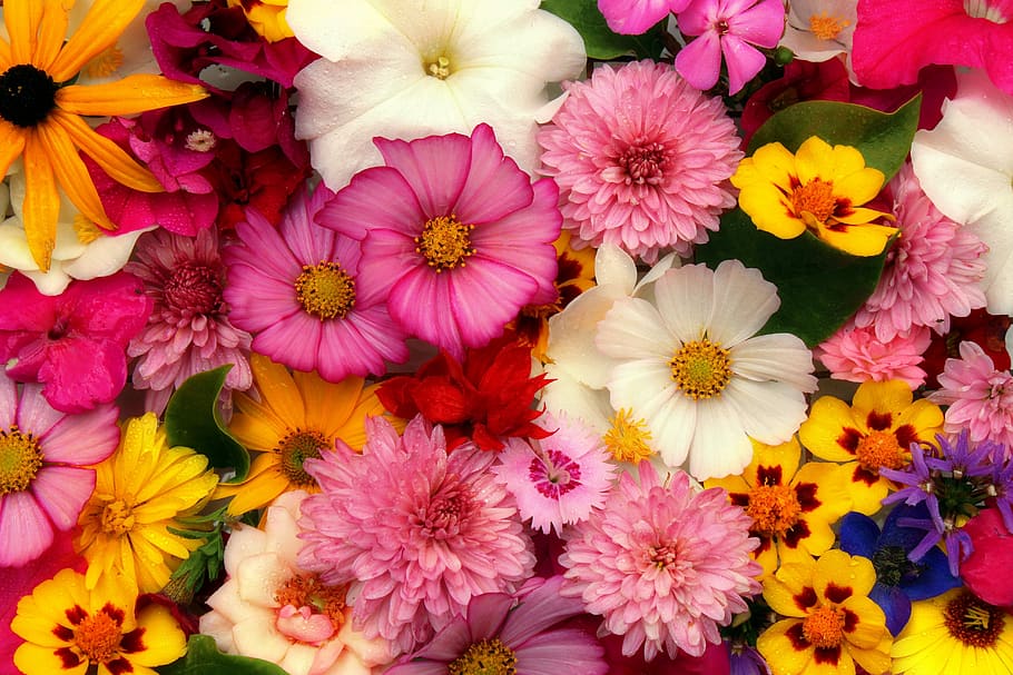 flowers, arrangement, bouquet, compilation, decorative, flower arrangement, HD wallpaper