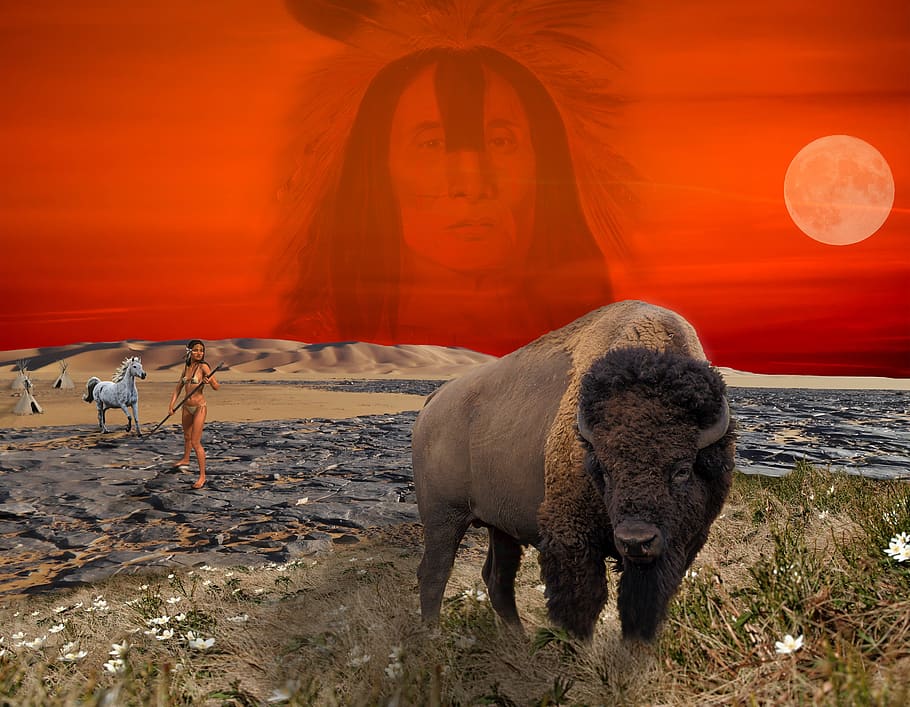 bison, warrior, mountain, horse, grass, rocks, sunset, fantasy HD wallpaper
