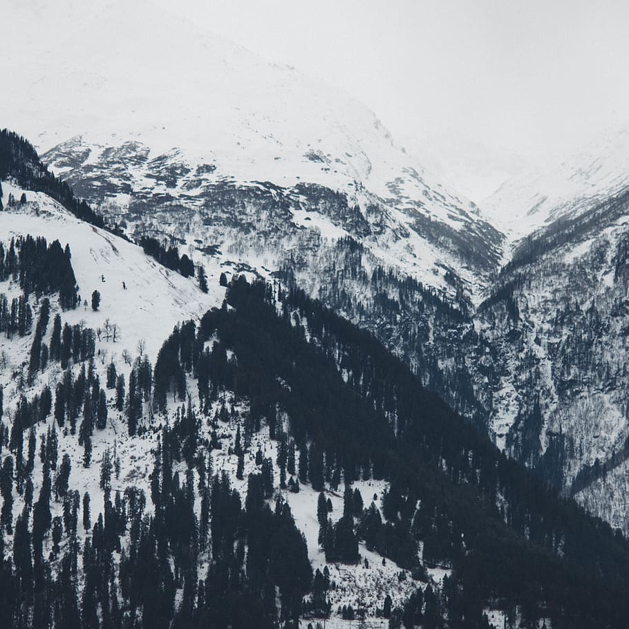 outdoors, nature, mountain, ice, mountain range, snow, plant HD wallpaper