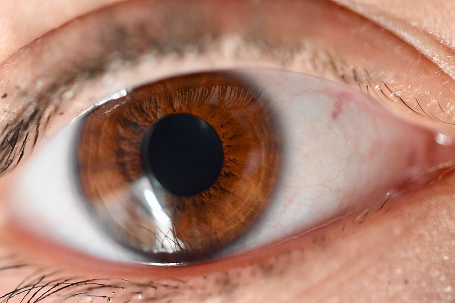 eye, iris, eyelashes, view, wards, close up, eyesight, sensory perception HD wallpaper