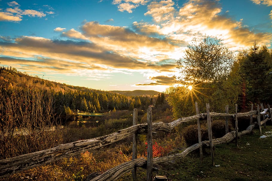sky, sunset, cloud - sky, tree, beauty in nature, tranquility HD wallpaper