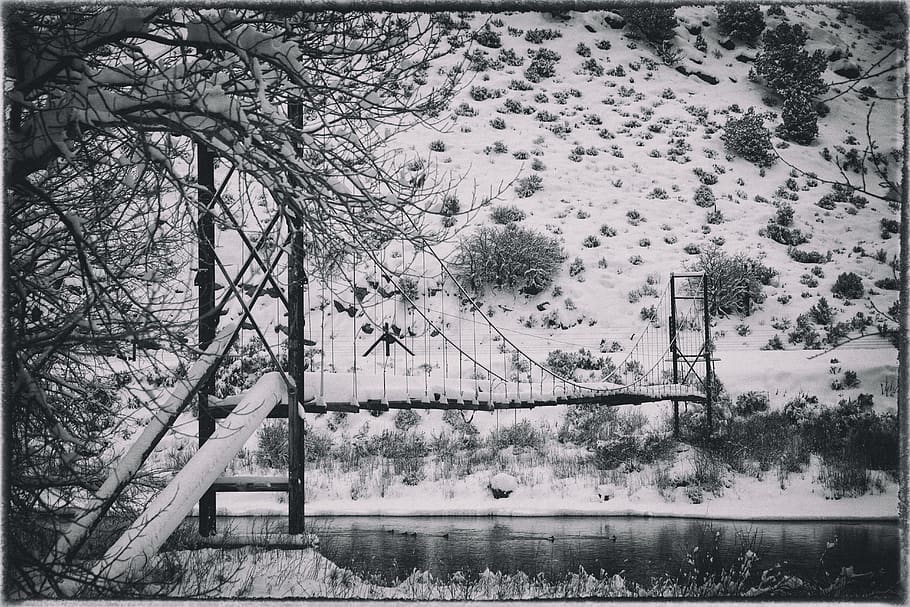 river, snow, bw, bridge, tree, plant, nature, water, no people HD wallpaper