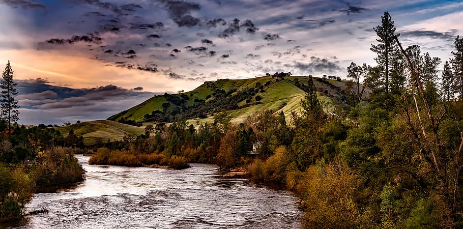 Streaming River Surrounded by Pine Trees Under Cloudy Sky during Daytime HD wallpaper