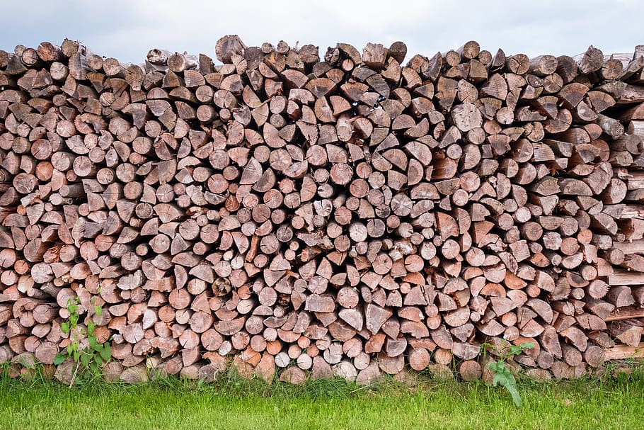 pile of wood, log, tree trunks, firewood, holzstapel, stack, HD wallpaper