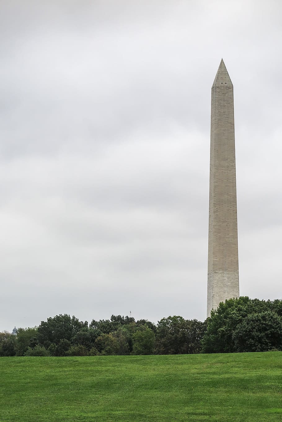 Washinton DC Mall view of Washinton Monument rising from behind grass hill., HD wallpaper