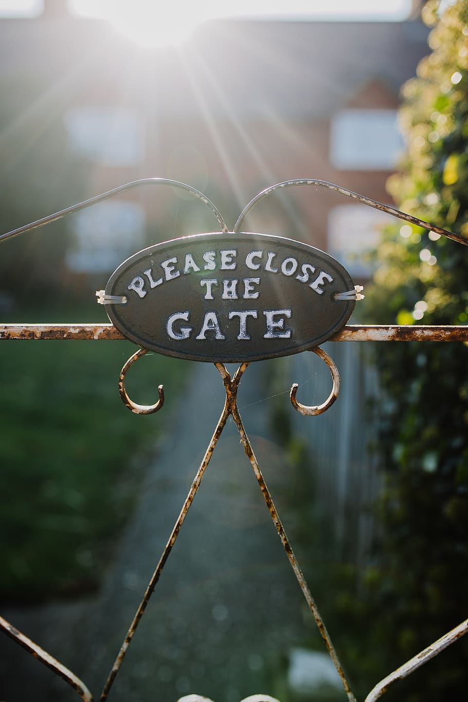 Please Close The Gate sign, grey, conifer, flora, plant, tree HD wallpaper