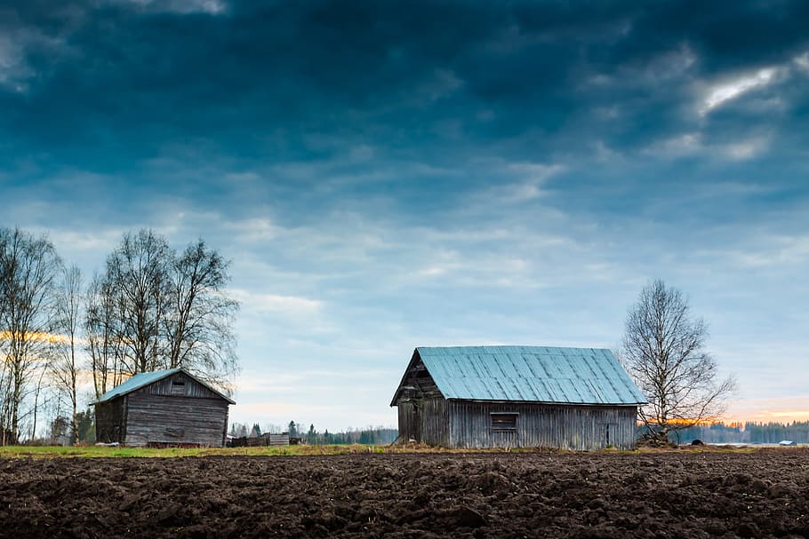 trees beside house, barn, field, sky, farmland, woodland, horizon HD wallpaper
