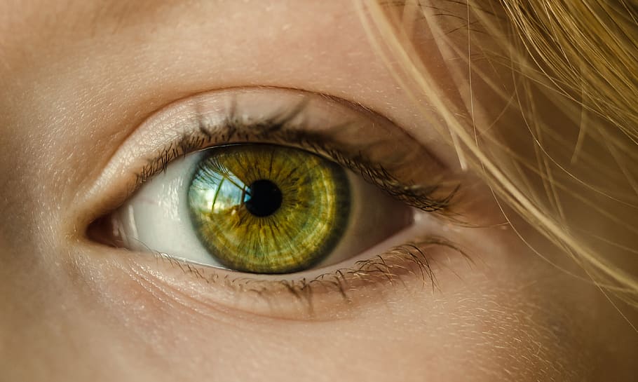 Person's Eye, close-up, eyelid, girl, macro, vision, woman, eyesight