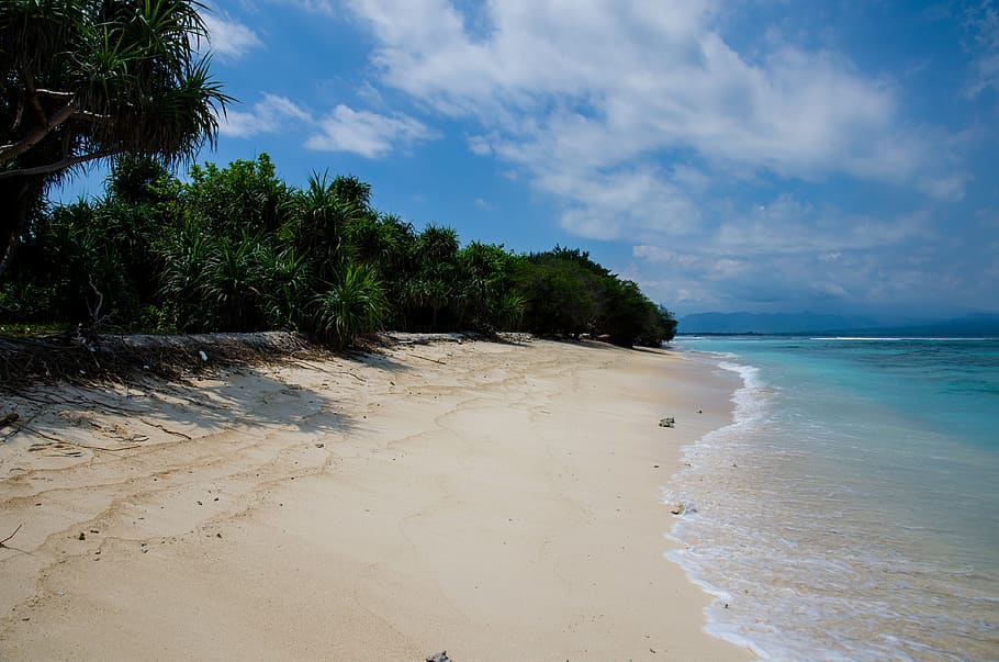 beach, sand, water, ocean, sea, coast, waves, trees, sky, clouds HD wallpaper