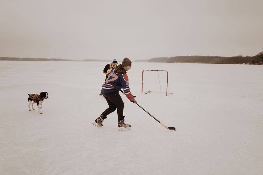 man playing ice hockey, pets, full length, domestic, domestic animals, HD wallpaper