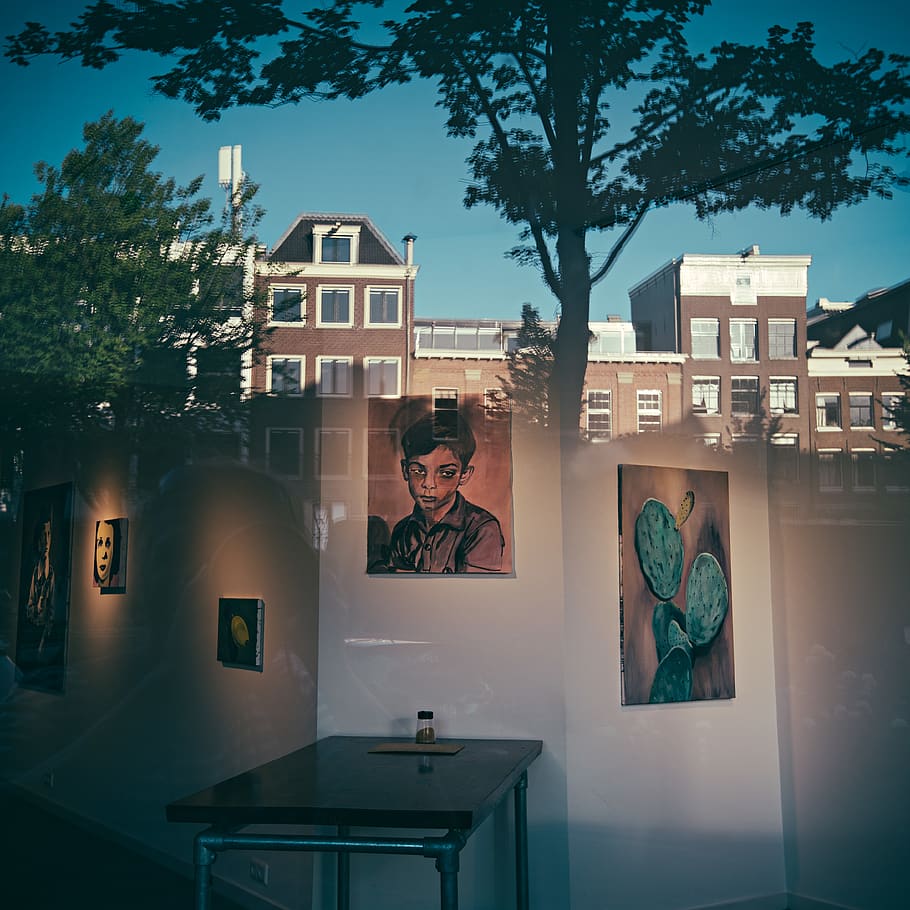 netherlands, amsterdam, tree, plant, architecture, human representation HD wallpaper