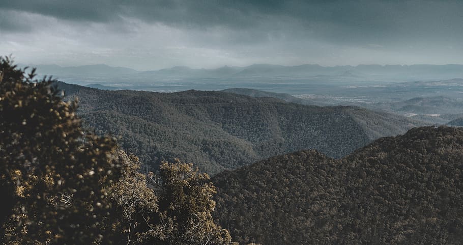 green trees on high ground, nature, outdoors, mountain range HD wallpaper