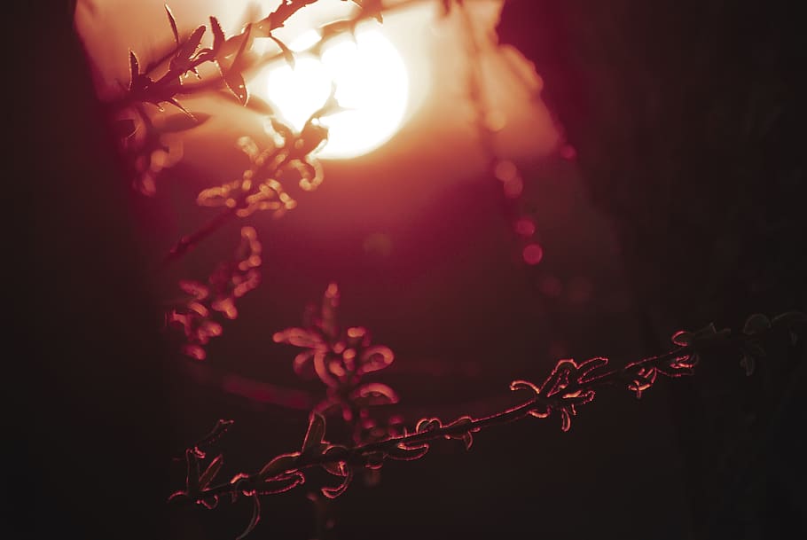 flare, light, sunlight, nature, outdoors, sunset, sky, lighting HD wallpaper