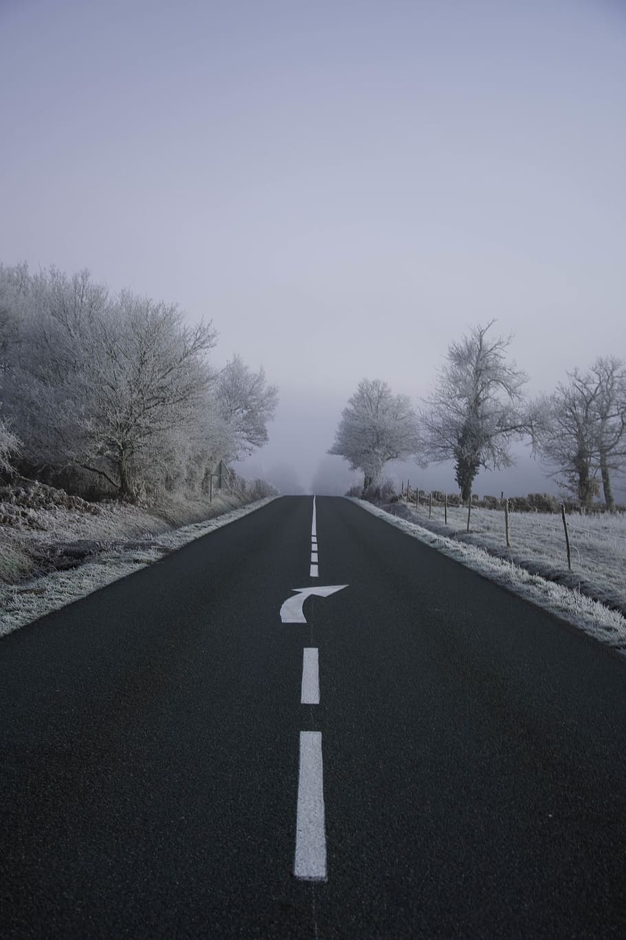 road between trees during daytime, nature, outdoors, highway HD wallpaper