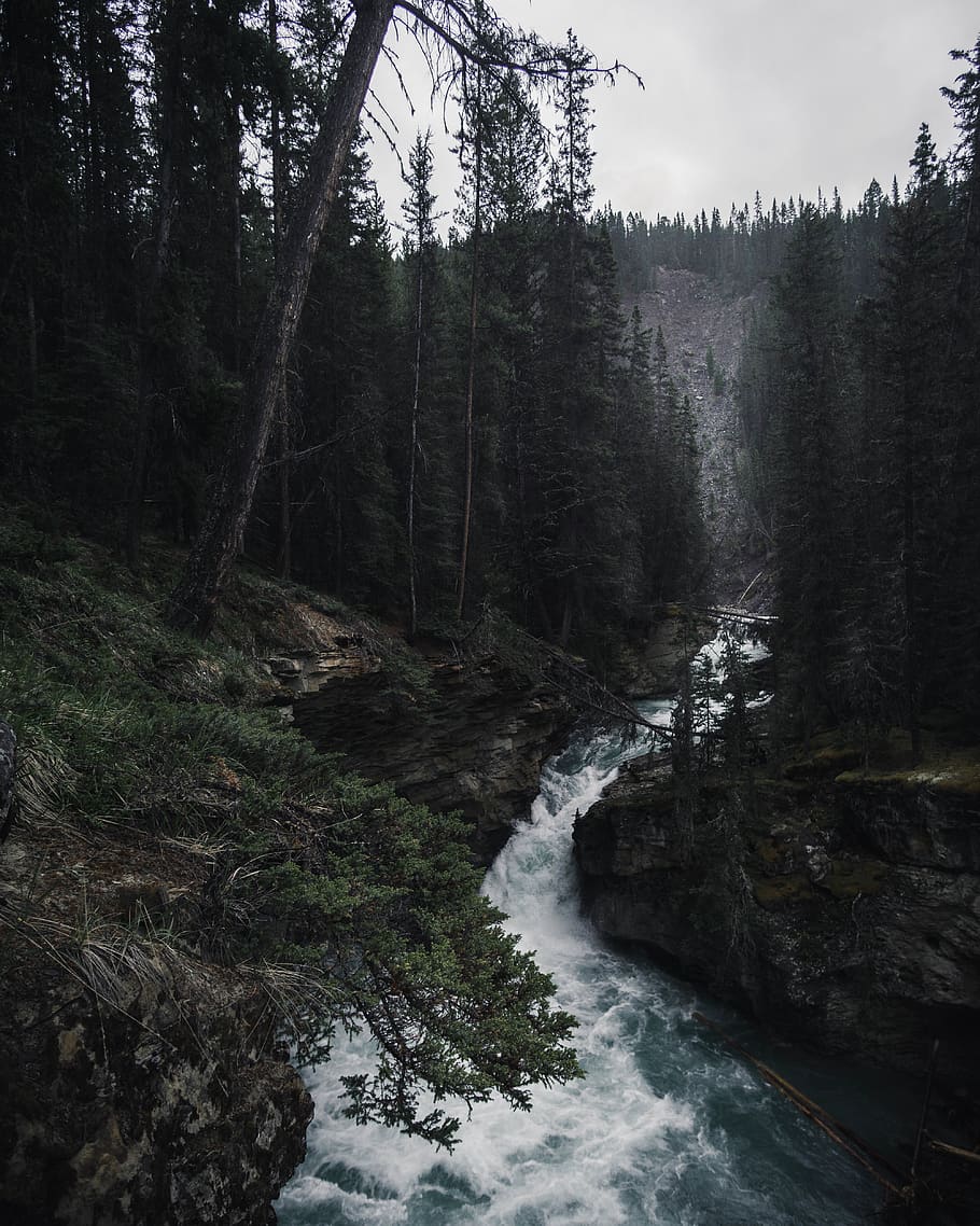 Waterfalls in Forest, daylight, environment, flow, landscape HD wallpaper