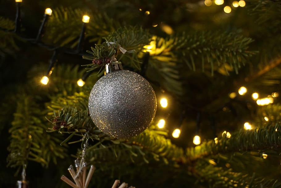 christmas, christmas tree, christmas ornament, lichterkette, HD wallpaper