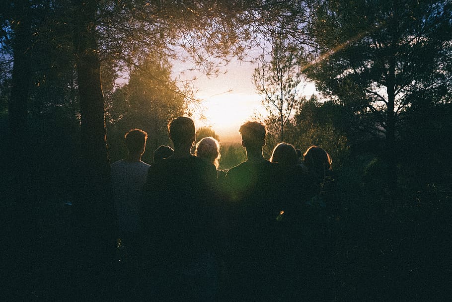 Silhouette of Group of People Between Tree Line, back view, backlit HD wallpaper