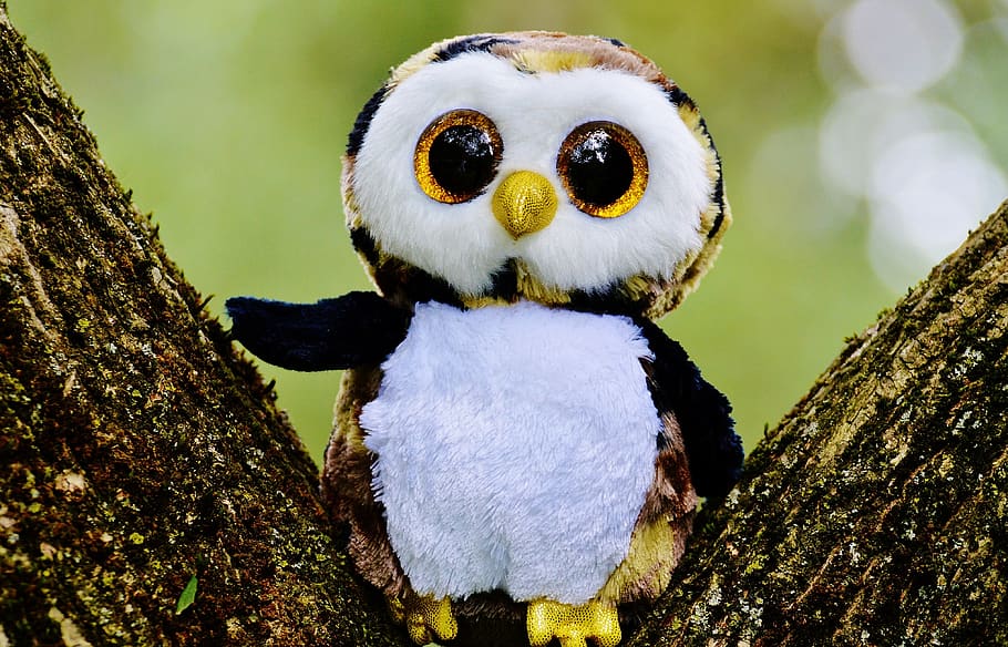 White and Brown Owl Plush Toy, bark, close-up, cute, glitter HD wallpaper