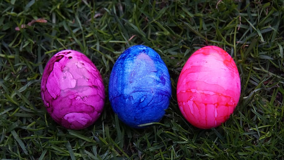 easter eggs, colorful, grass, green, colored, spring, food HD wallpaper