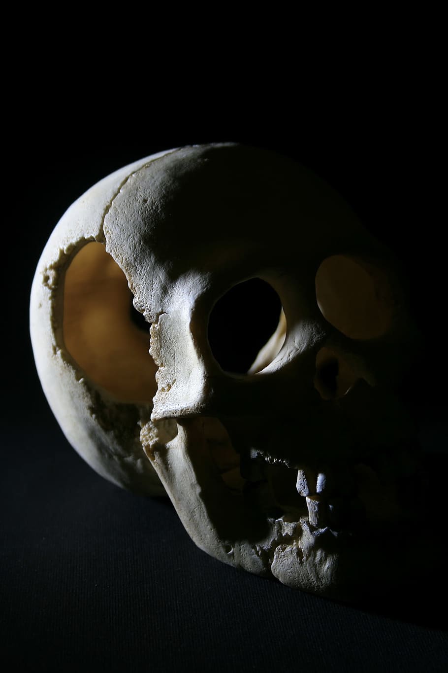 bone, close-up, death, head, old, photo, skull, studio, human skeleton HD wallpaper