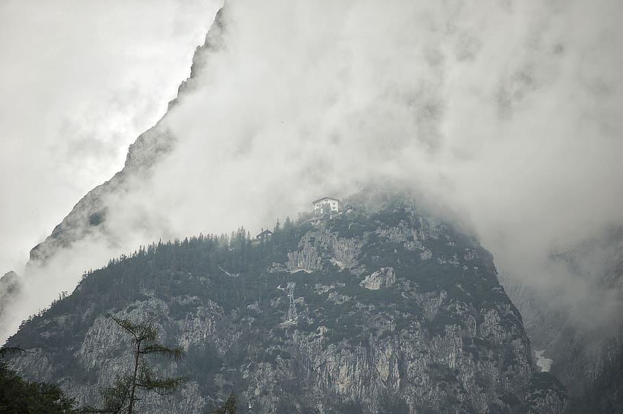 austria, trees, fog, forest, mountain, beauty in nature, scenics - nature HD wallpaper