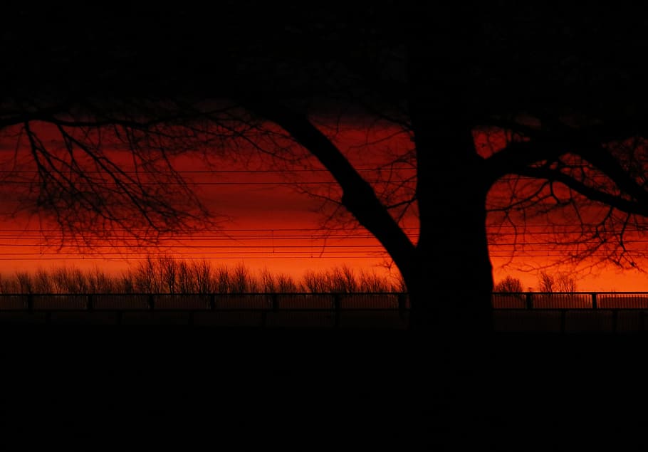 sunrise, fire, sky, nature, scenic, colorful, orange, red, tree HD wallpaper