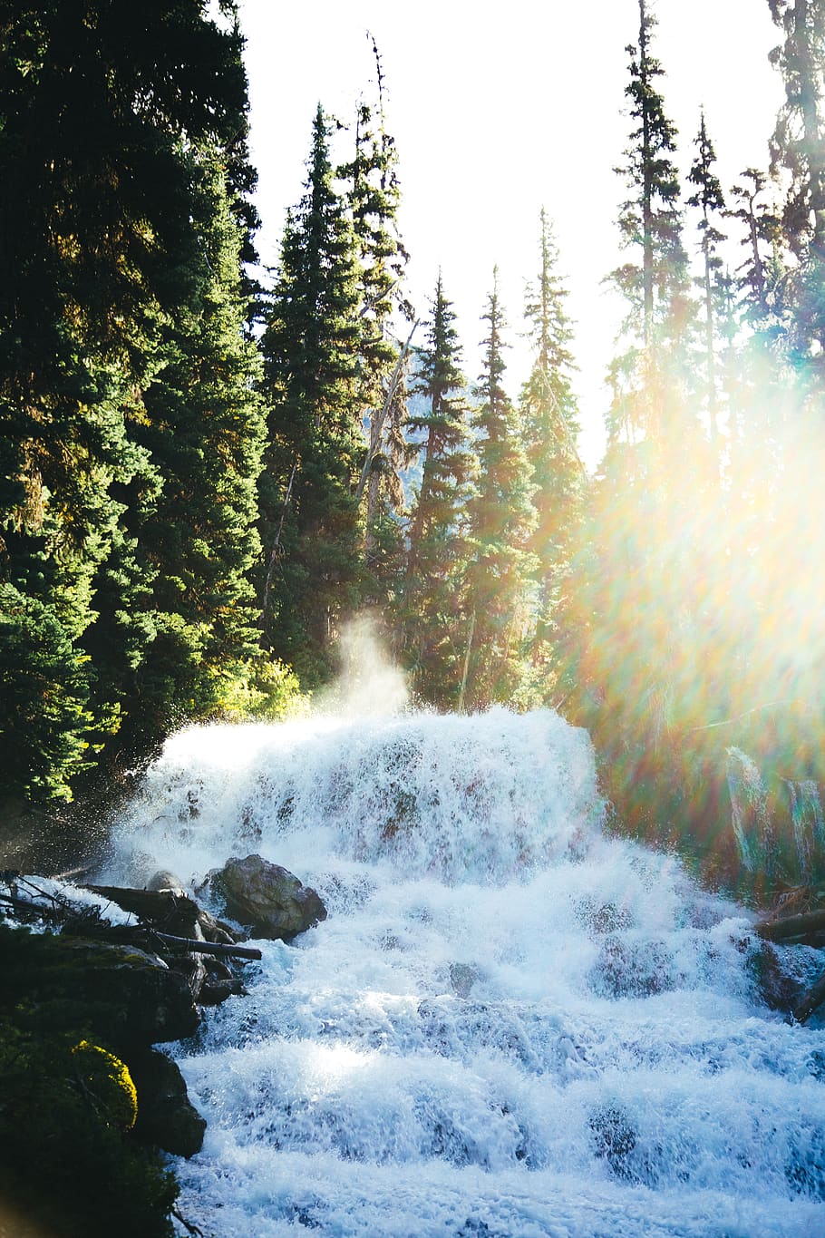 river between trees during daytime, water, nature, outdoors, waterfall HD wallpaper