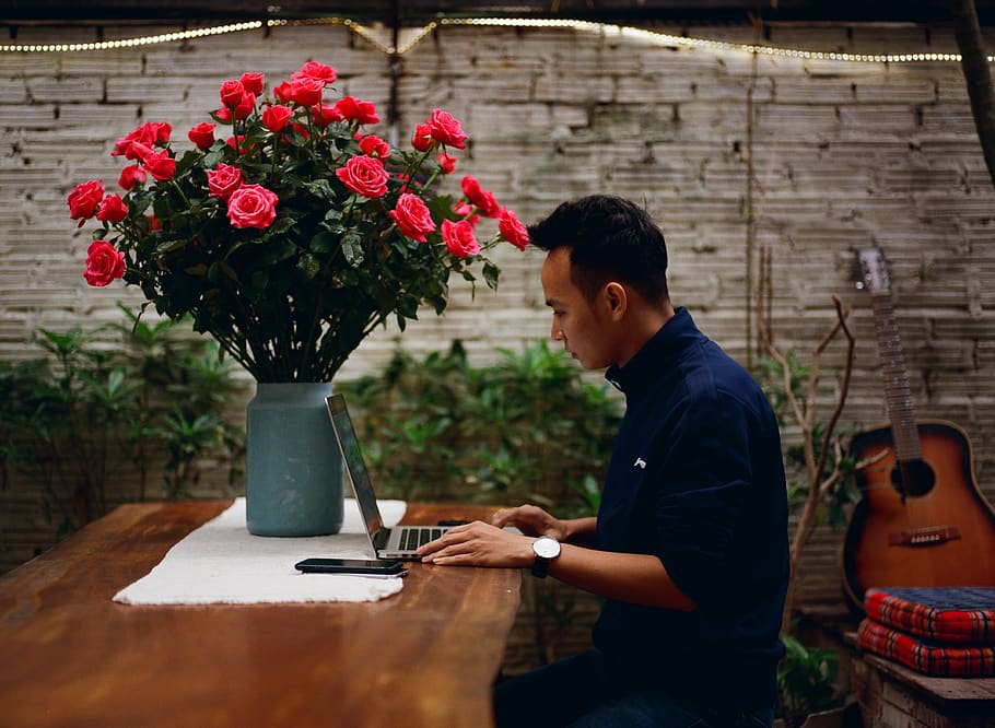 man sitting on chair using laptop, person, human, plant, blossom