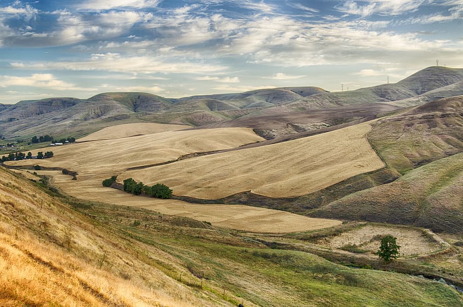 wheat fields, rolling fields, idaho, usa, landscape, lewiston HD wallpaper