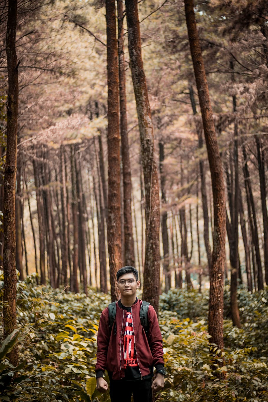 gunung pancar, indonesia, forest, my self, trees, indonesian place, HD wallpaper