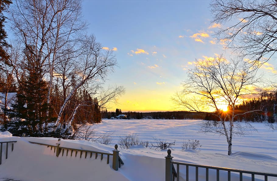 winter landscape, snow, tree, season, nature, sunset, cold HD wallpaper