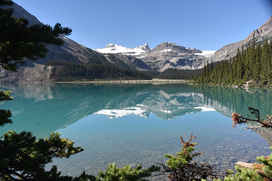 Panoramic Photography of Mountain, daylight, daytime, forest HD wallpaper