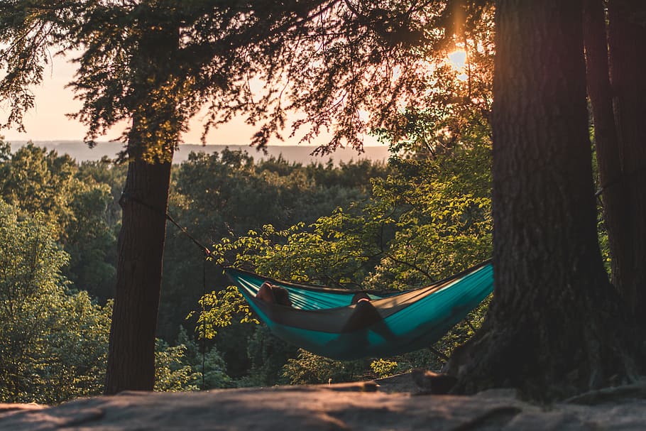 Person Lying on Hammock Between Trees at Daytime, cliff, colors HD wallpaper