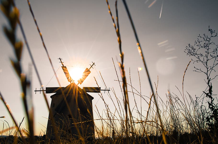 Silhouette of Windmill during Daytime, grass, low angle shot HD wallpaper