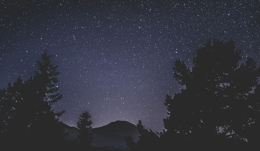 Silhouette of Trees and Mountain, astronomy, constellation, dark HD wallpaper